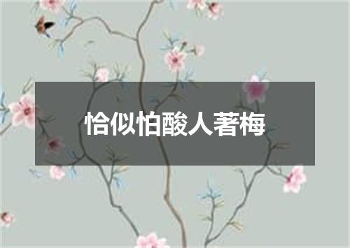 恰似怕酸人著梅
