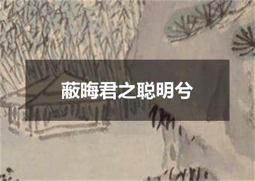 蔽晦君之聪明兮