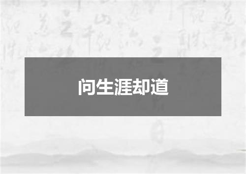 问生涯却道