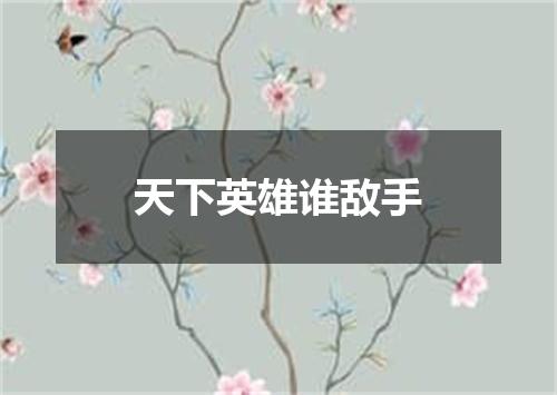 天下英雄谁敌手