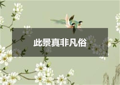 此景真非凡俗