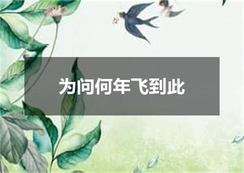 为问何年飞到此