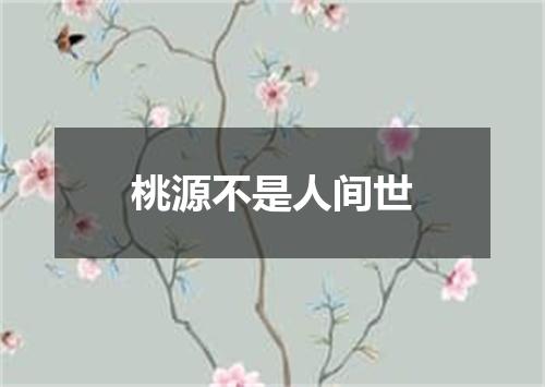 桃源不是人间世