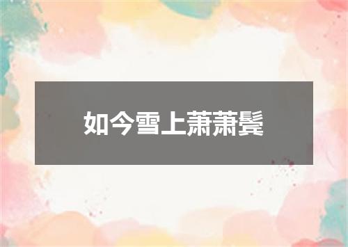 如今雪上萧萧鬓