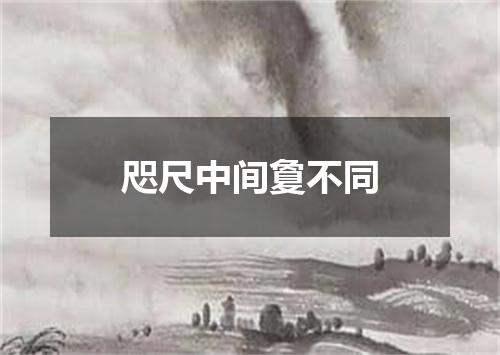 咫尺中间敻不同