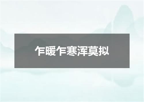 乍暖乍寒浑莫拟