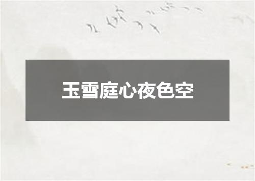 玉雪庭心夜色空