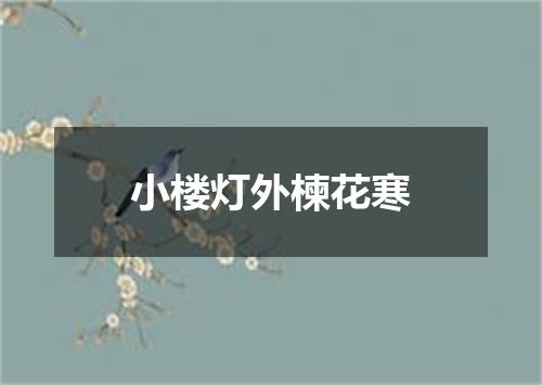 小楼灯外楝花寒