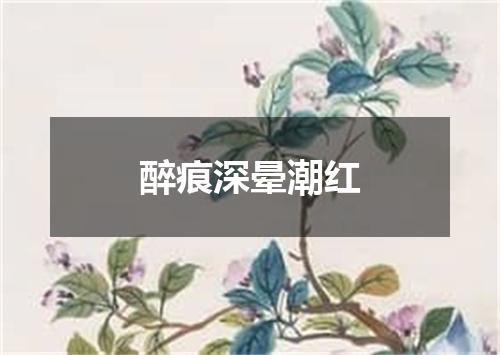 醉痕深晕潮红