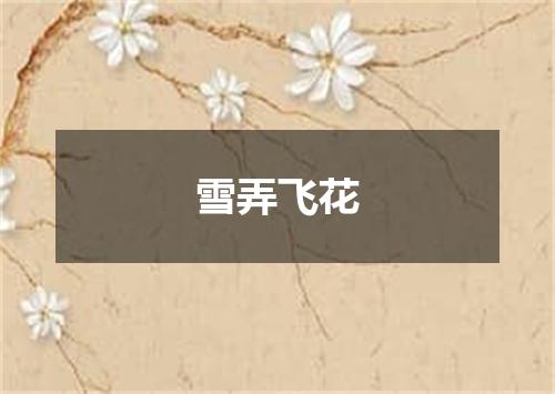 雪弄飞花
