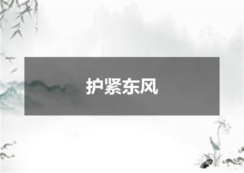 护紧东风