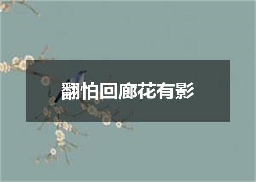 翻怕回廊花有影