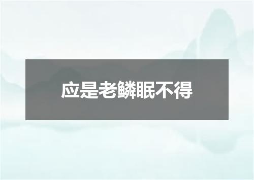 应是老鳞眠不得