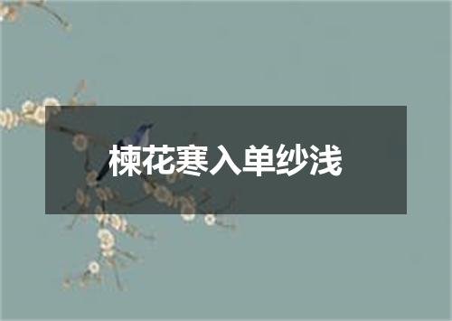 楝花寒入单纱浅