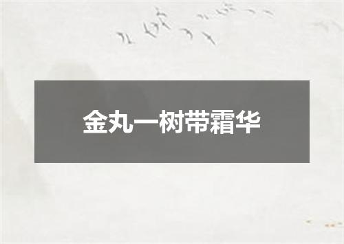 金丸一树带霜华