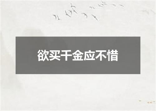 欲买千金应不惜