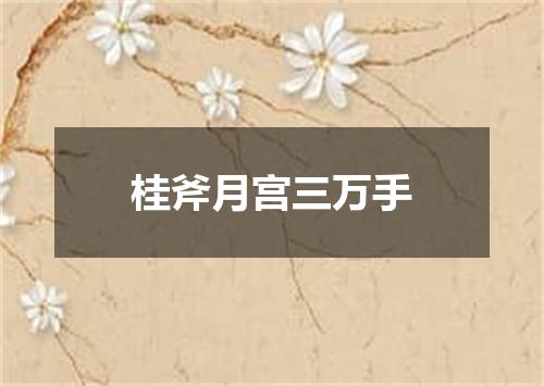 桂斧月宫三万手