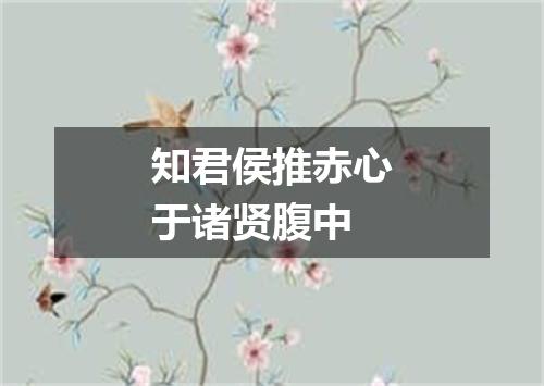 知君侯推赤心于诸贤腹中