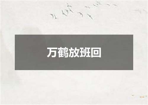 万鹤放班回