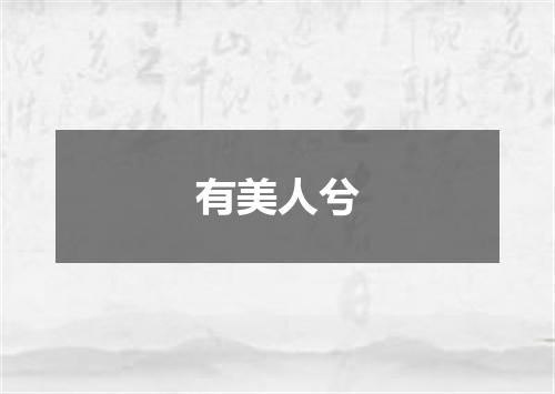 有美人兮