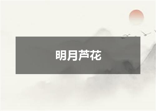 明月芦花