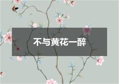 不与黄花一醉