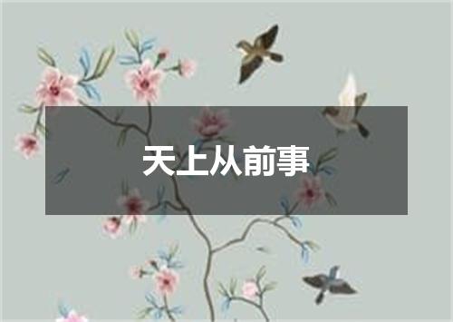 天上从前事