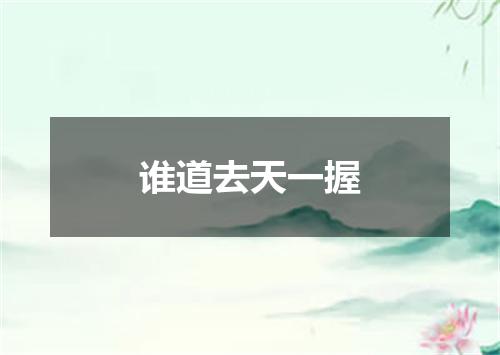 谁道去天一握