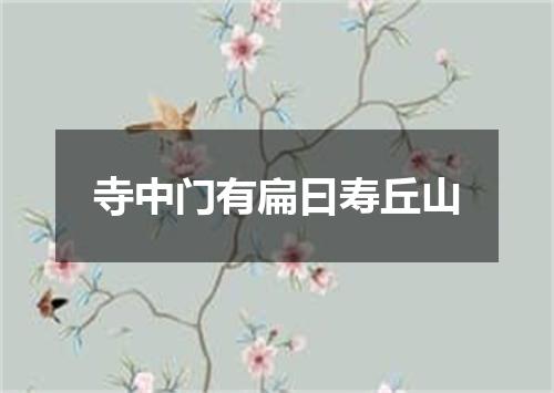 寺中门有扁曰寿丘山