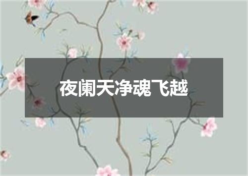 夜阑天净魂飞越