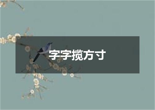 字字揽方寸