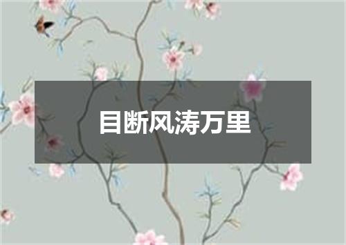 目断风涛万里