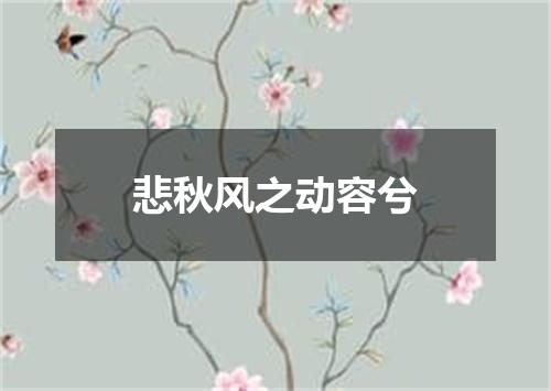 悲秋风之动容兮