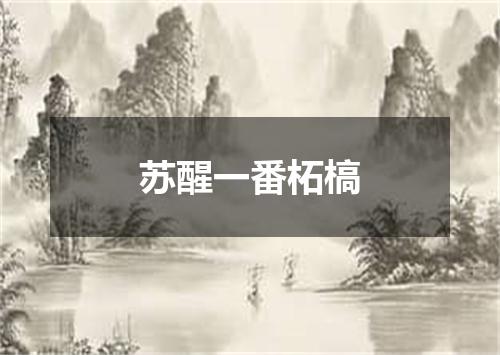 苏醒一番柘槁
