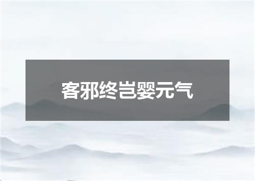 客邪终岂婴元气