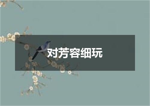 对芳容细玩