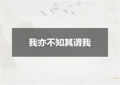 我亦不知其谓我
