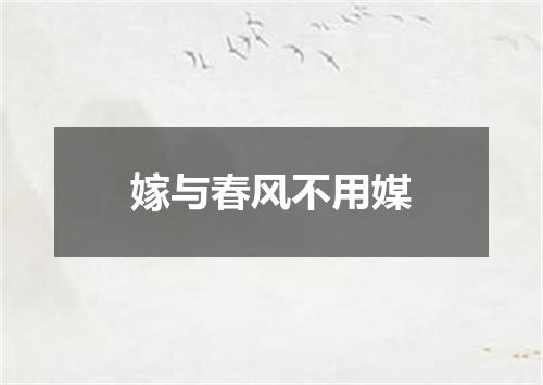 嫁与春风不用媒