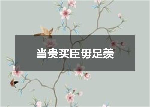 当贵买臣毋足羡