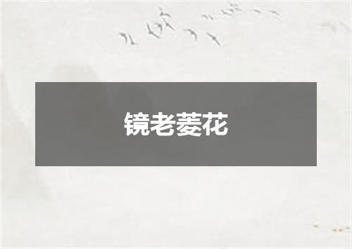 镜老菱花