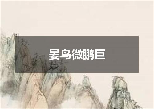 晏鸟微鹏巨