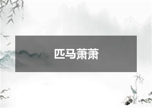 匹马萧萧