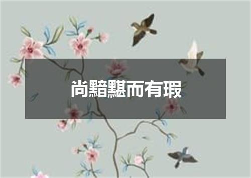 尚黯黮而有瑕
