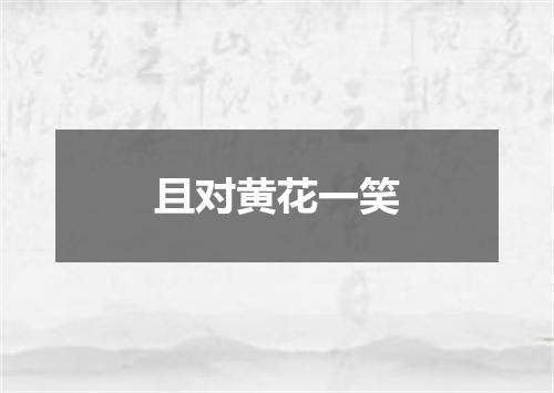 且对黄花一笑