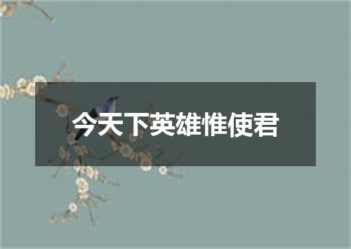 今天下英雄惟使君