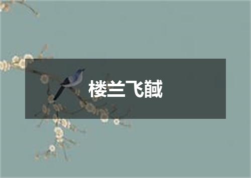 楼兰飞馘