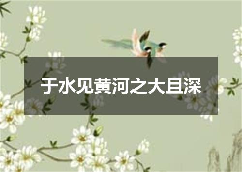 于水见黄河之大且深