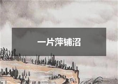 一片萍铺沼