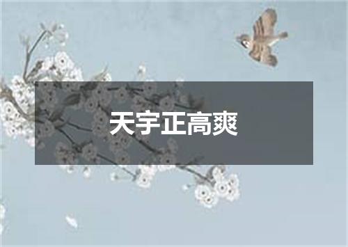 天宇正高爽