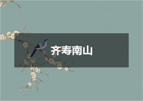 齐寿南山